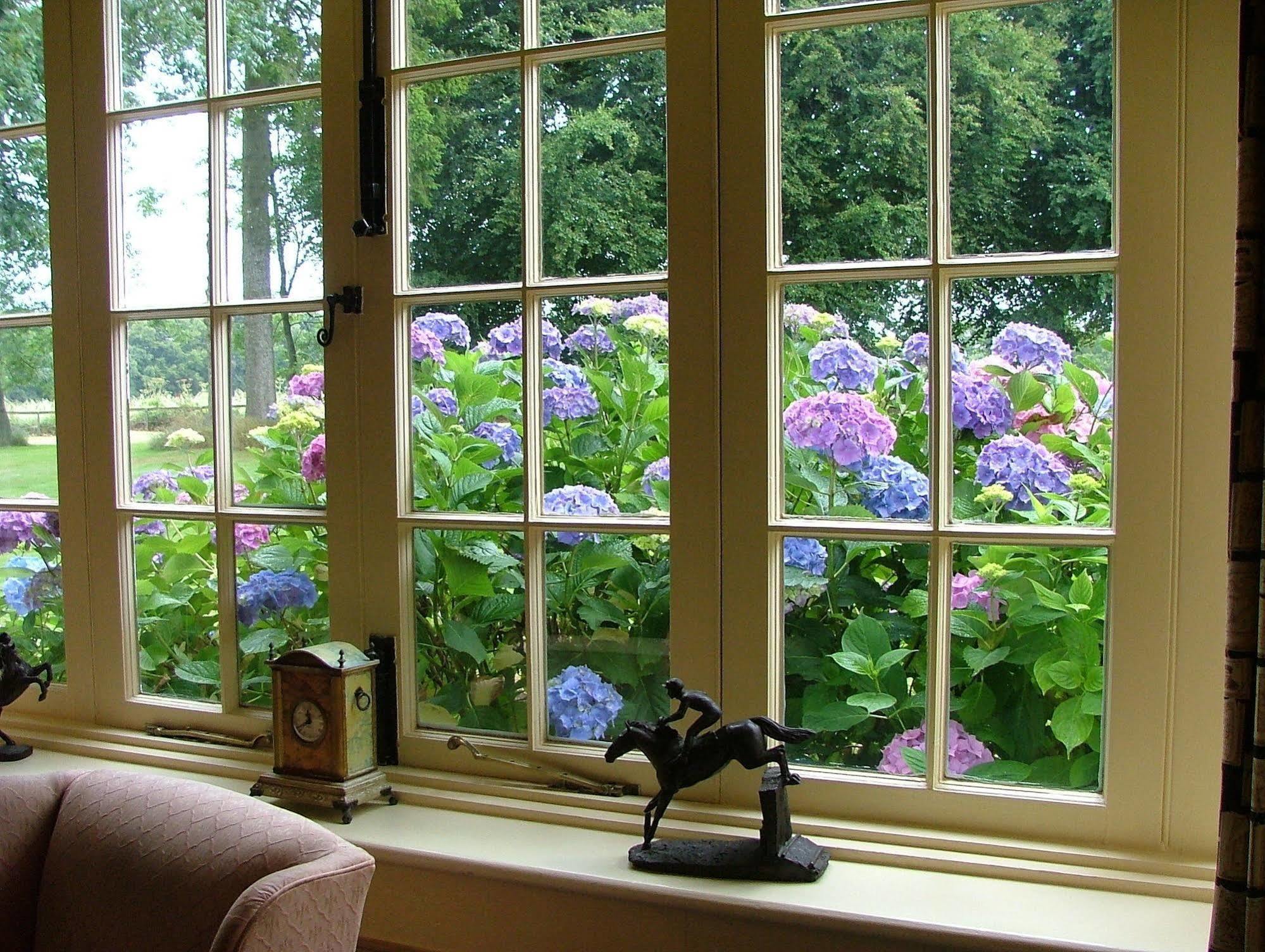 Esseborne Manor Hotel Hurstbourne Tarrant Bagian luar foto